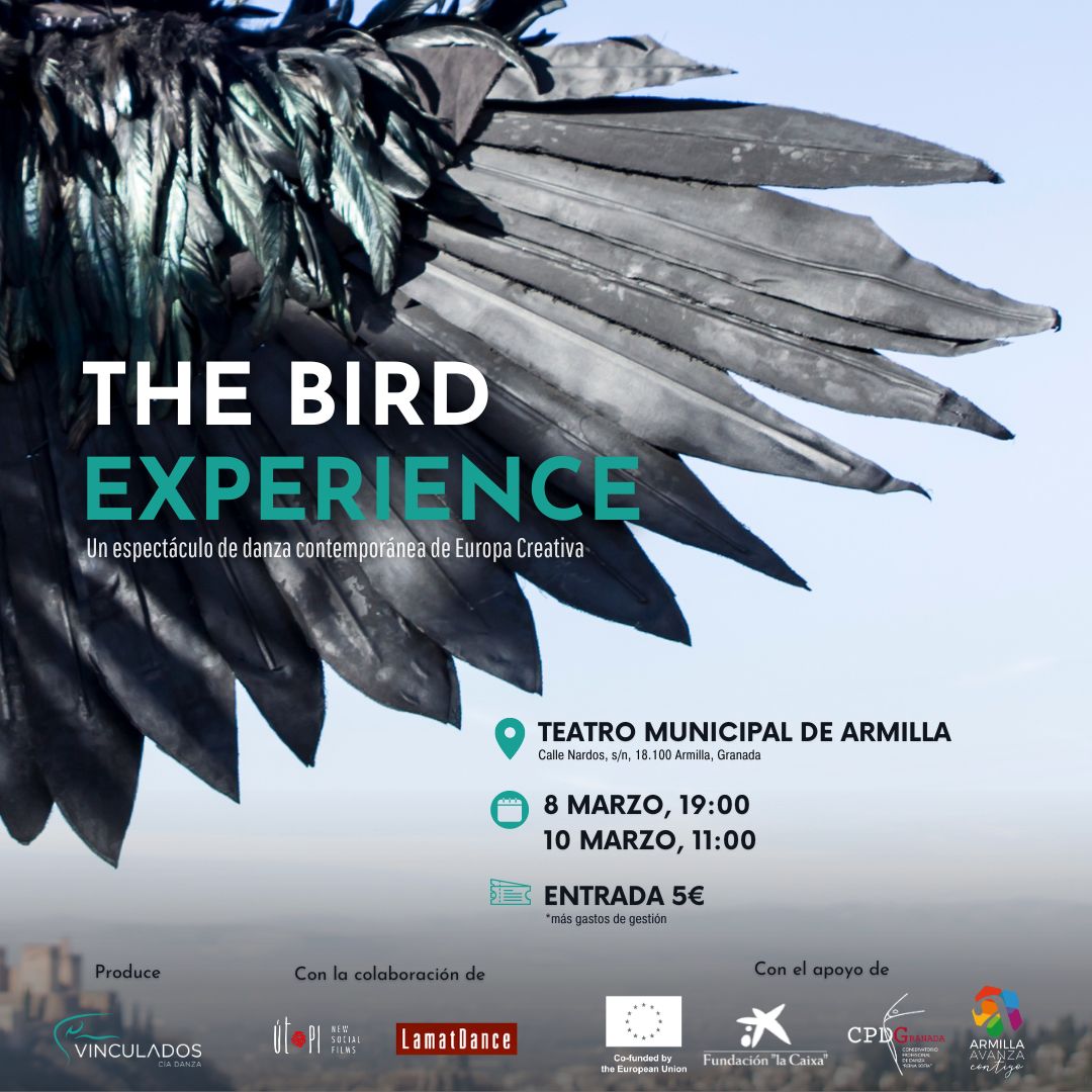 Cartel de la puesta en escena del espectáculo The Bird Experience.